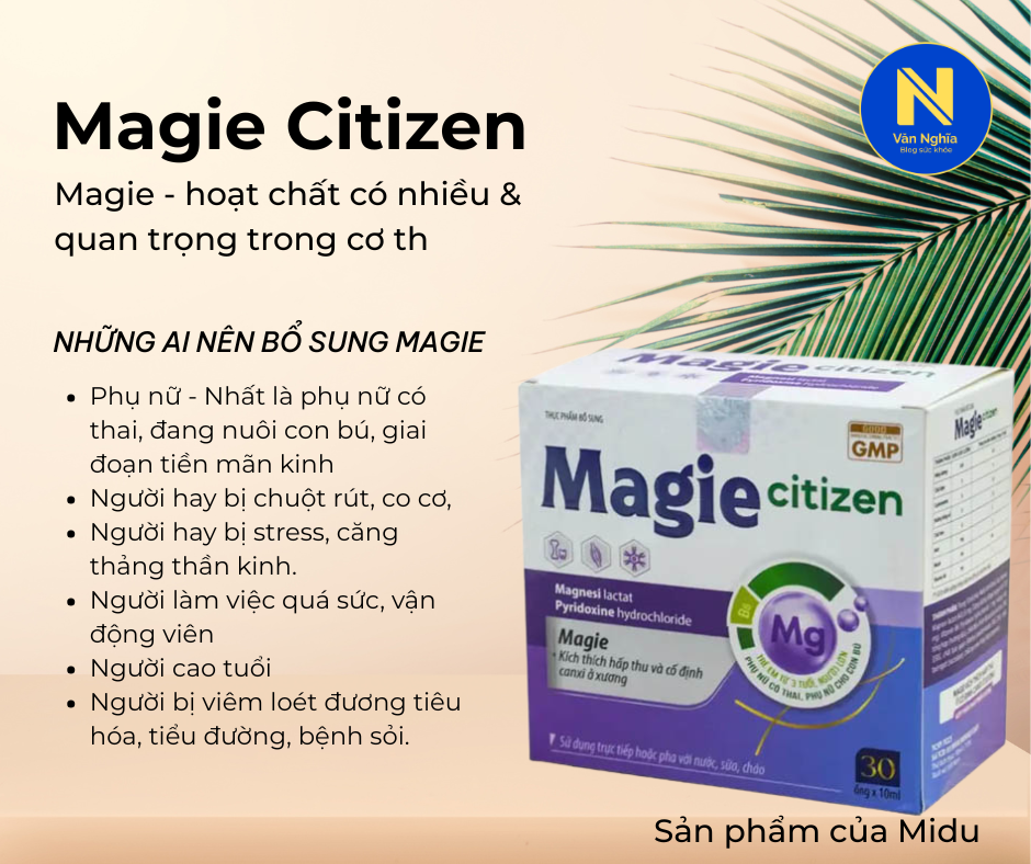 BỔ SUNG MAGIE, Magie Citizen (10)