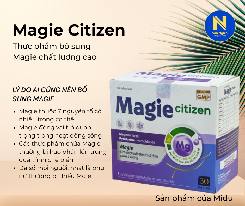 BỔ SUNG MAGIE, Magie Citizen (3)