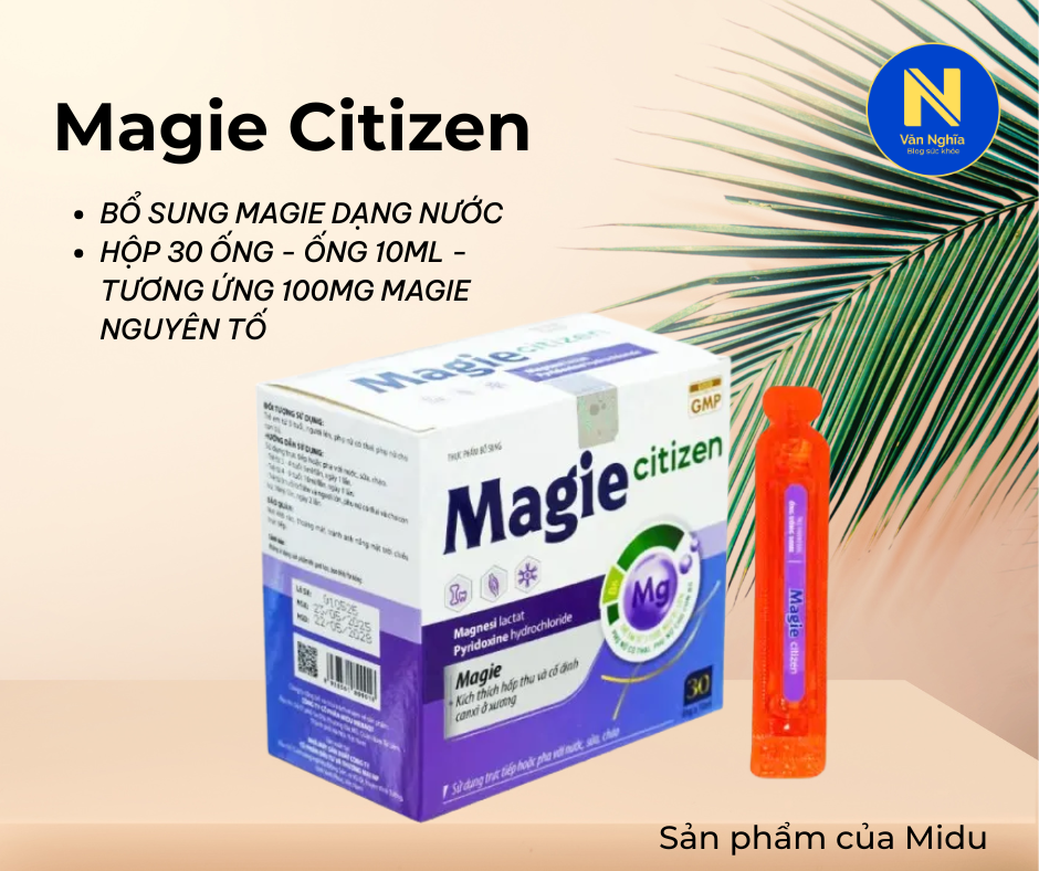 BỔ SUNG MAGIE, Magie Citizen (6)