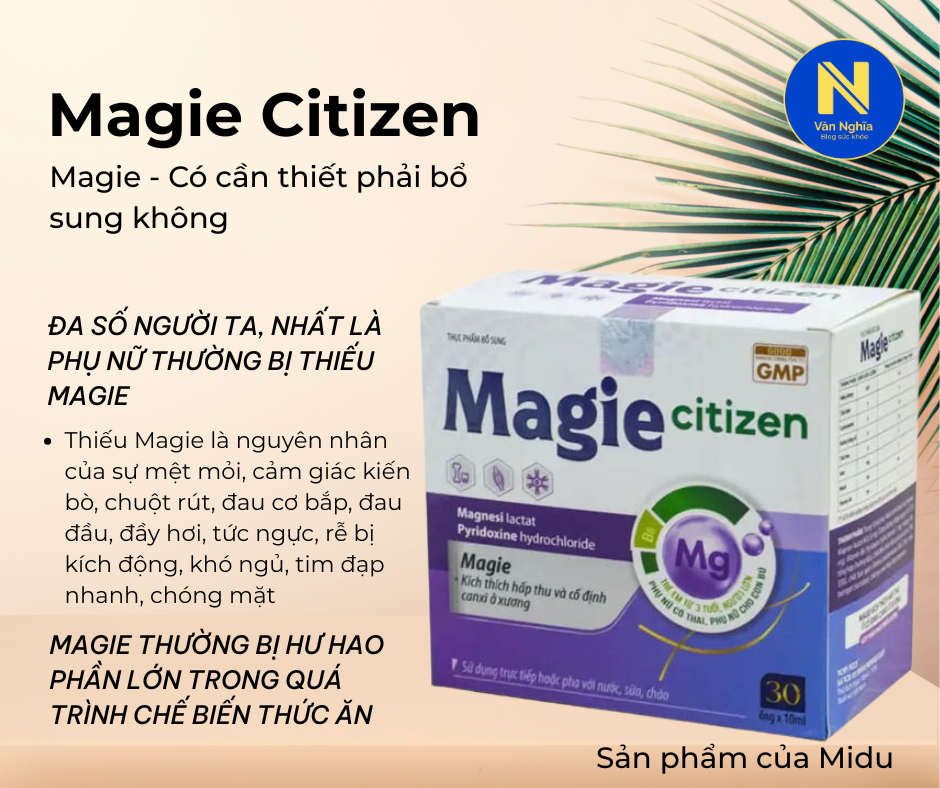 BỔ SUNG MAGIE, Magie Citizen (8)