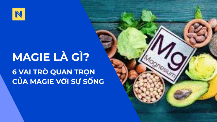 magie là gì, vai trò quan trọn của magie với sự sống