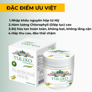 diep luc tố tulixo cholổphyll (2)